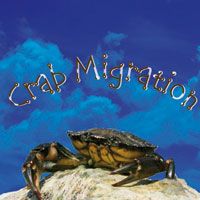 Banda de Música da Força Aérea Portuguesa - Crab Migration