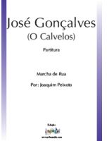 José Gonçalves (O Calvelos)